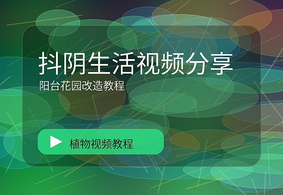 寸光绿影