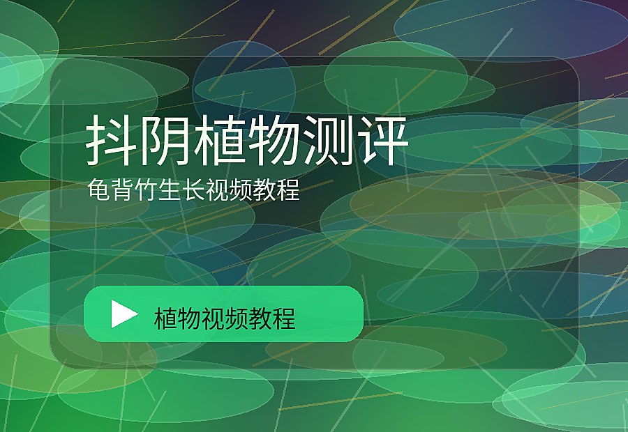 寸光绿影