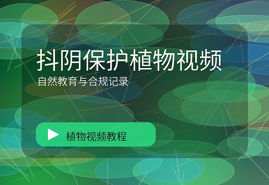 寸光绿影